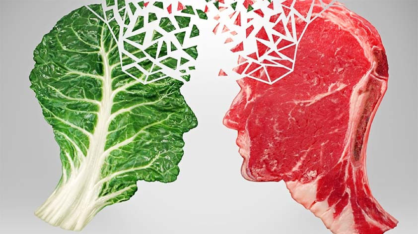 an image depicting a transition from an omnivorous diet to a plant based diet