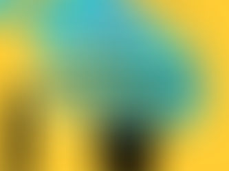 People improving their assertive communication skills.