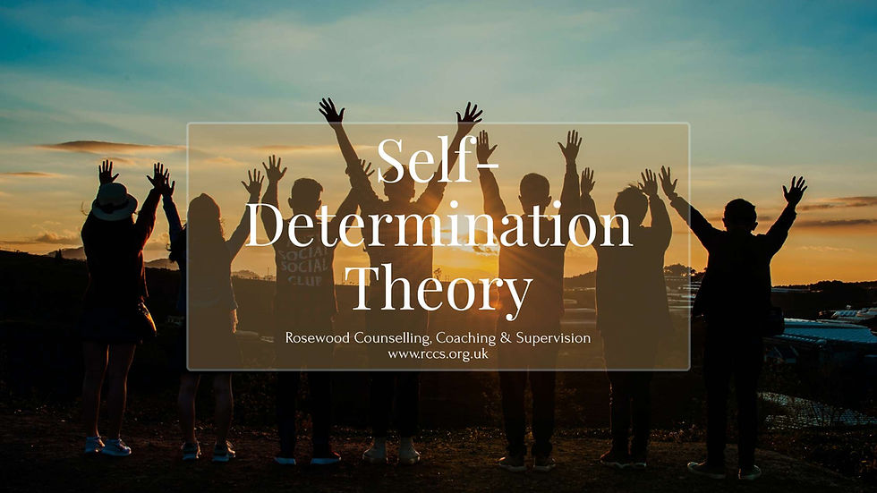 self determination theory blog banner.