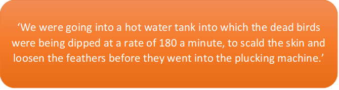 thei text caption says: ‘We were going into a hot water tank into which the dead birds were being dipped at a rate of 180 a minute, to scald the skin and loosen the feathers before they went into the plucking machine.’