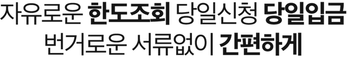 자유로운 한도조회 당일신청 당일입금 번거로운 서류없이 간편하게.png