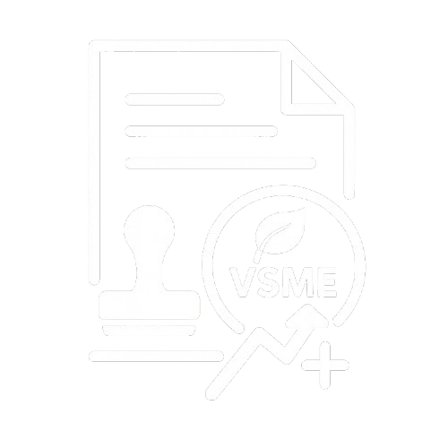 vsme-removebg-preview.png