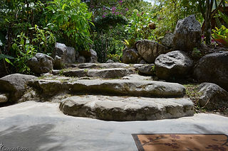 DSC_3816.jpg