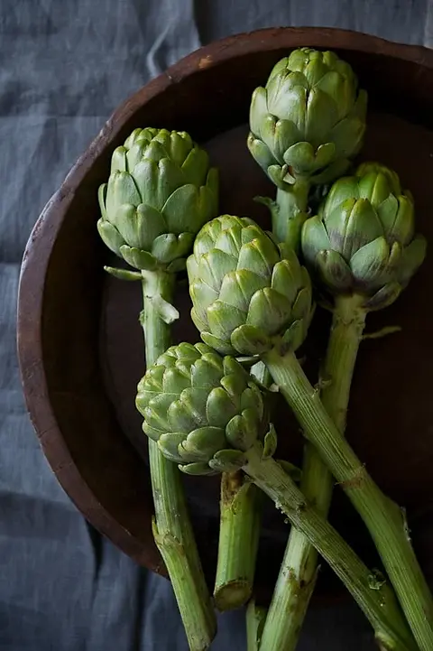 Artichoke