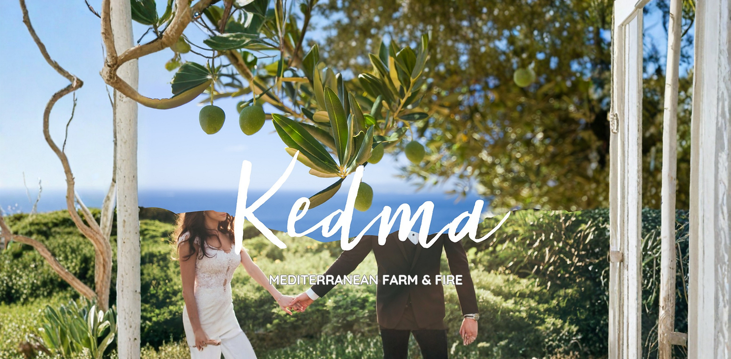 kedma expended hero david site.png