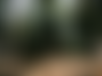 Coffee in Left Hand, Tea in Right: The Pursuit of Pure Pu’er