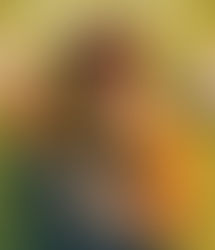 Wren Martin Ruins it All - Amanda DeWitt