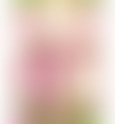 Cursed Boys and Broken Hearts - Adam Sass