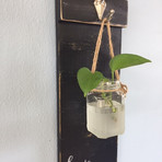 Hanging candle / plant holder wall sconce - $40