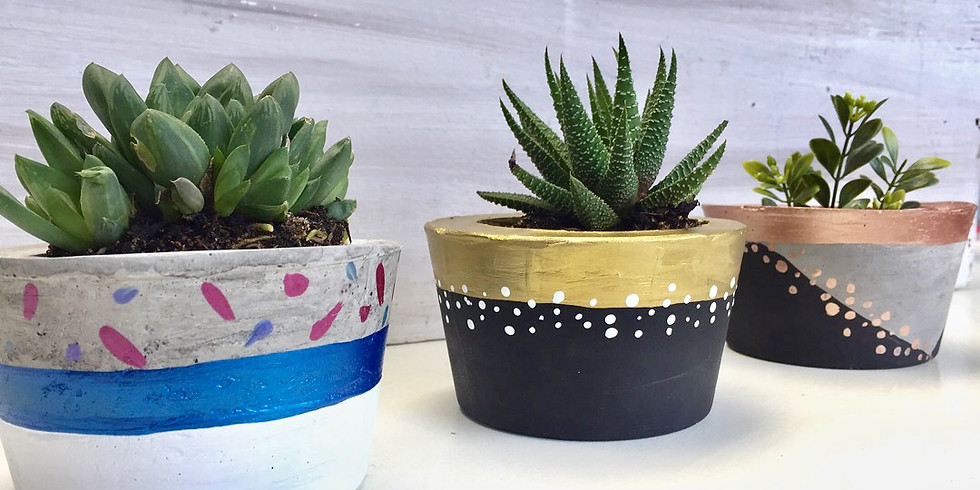 DIY CEMENT PLANT POTS workshop