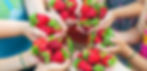 summer-strawberries-in-the-hands-of-children-sele-2024-12-19-15-02-04-utc_edited.jpg