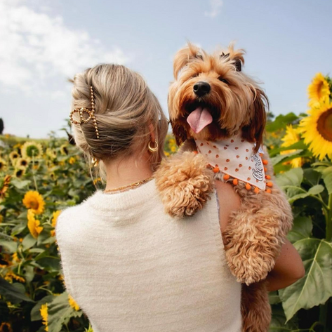 a woman holds her smiling pup in the sunflower field
