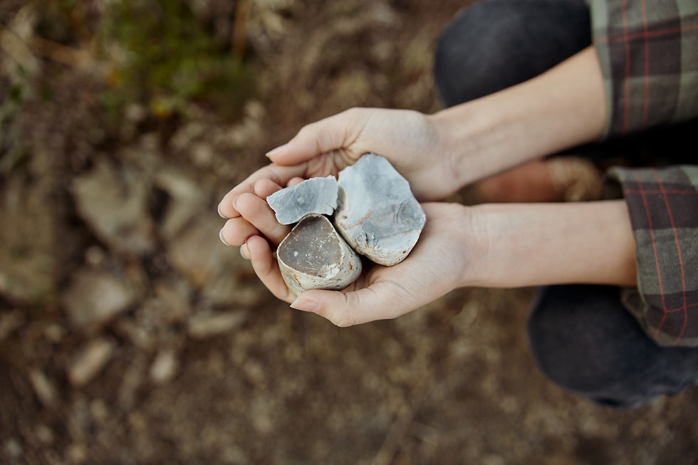 envato-labs-image-edit.jpg