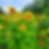 Untitled - 2025-07-21T120559.051.png
