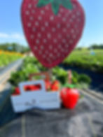 neslon strawberries 3.jpg