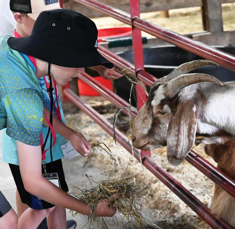 Screenshot 2025-06-30 at 12.02.01 PM.png