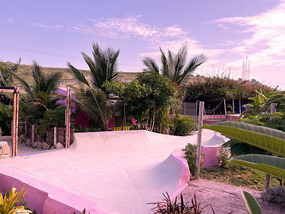 A bright pink and white-painted skate park with palm trees under a clear sky, creating a tropical, serene atmosphere.