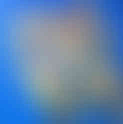 Sunflowers Provincetown oil on canvas