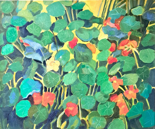 Nasturtiums on Yellow