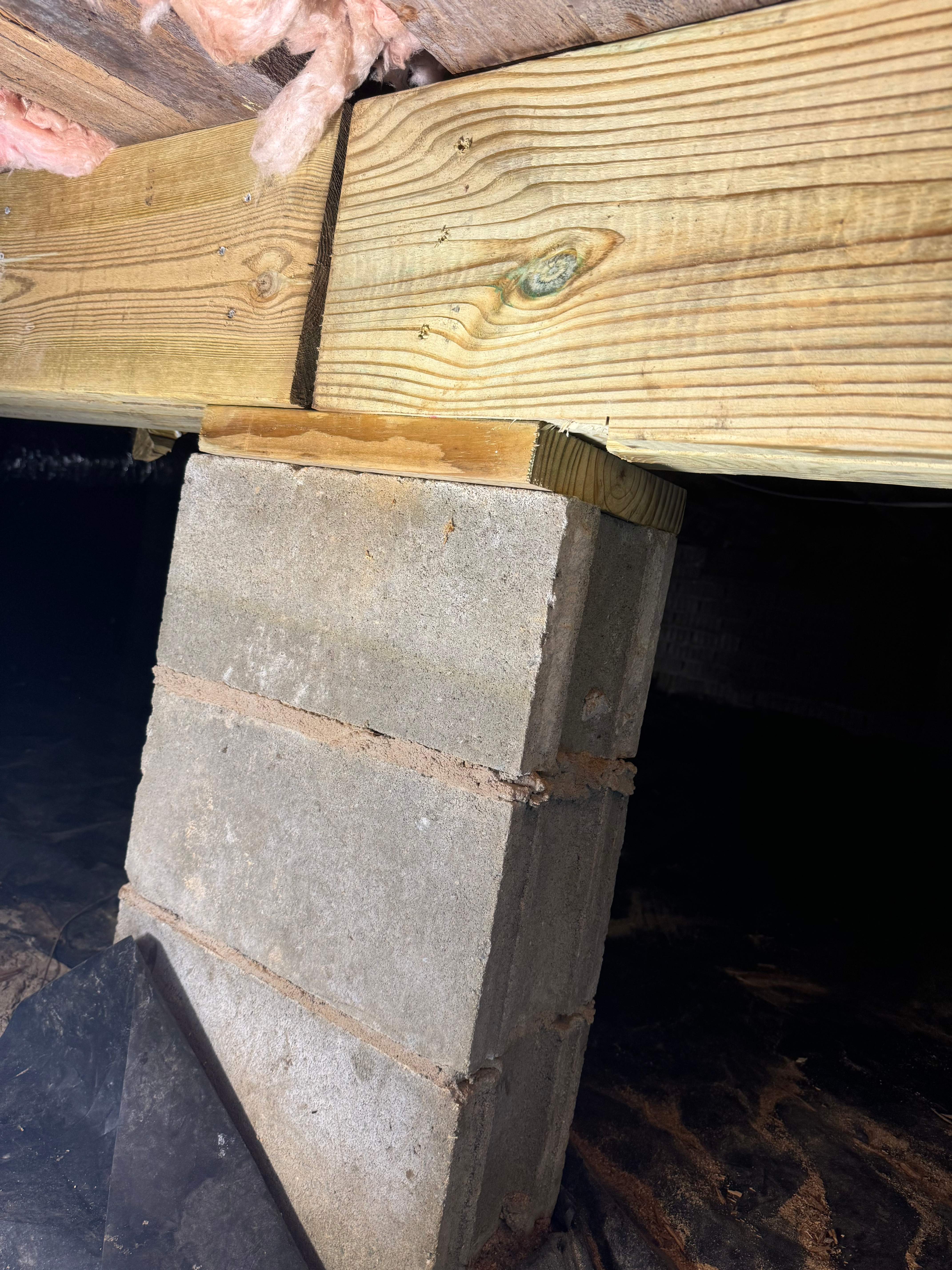 Termite and Moisture Damage Repair