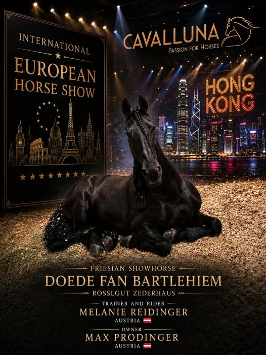 Showplakat für Doede fan Bartlehiem mit Melanie Reidinger und Max Prodinger