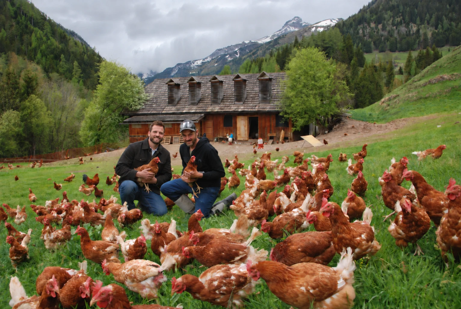 Daniel Köstinger und Max Prodinger mit Hühnern am Waldhof Kösslergut