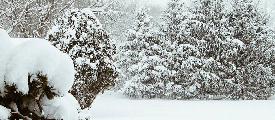 ° | - Be Captivated