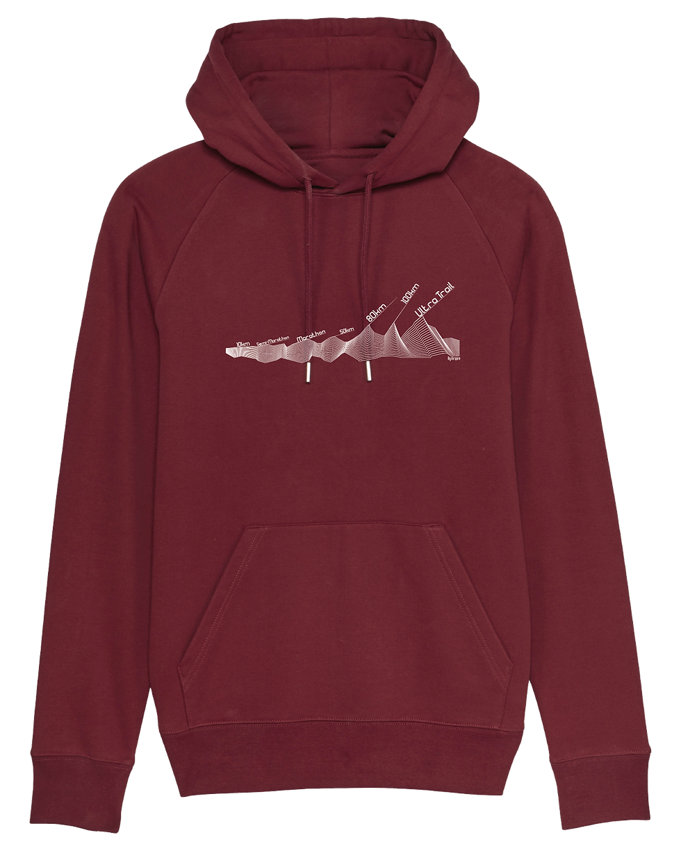Miniature : Sweat-shirt capuche iconique unisex