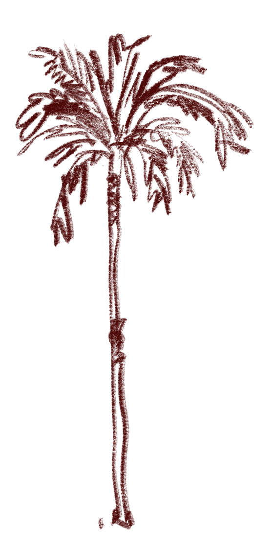 coqueiro_edited.png