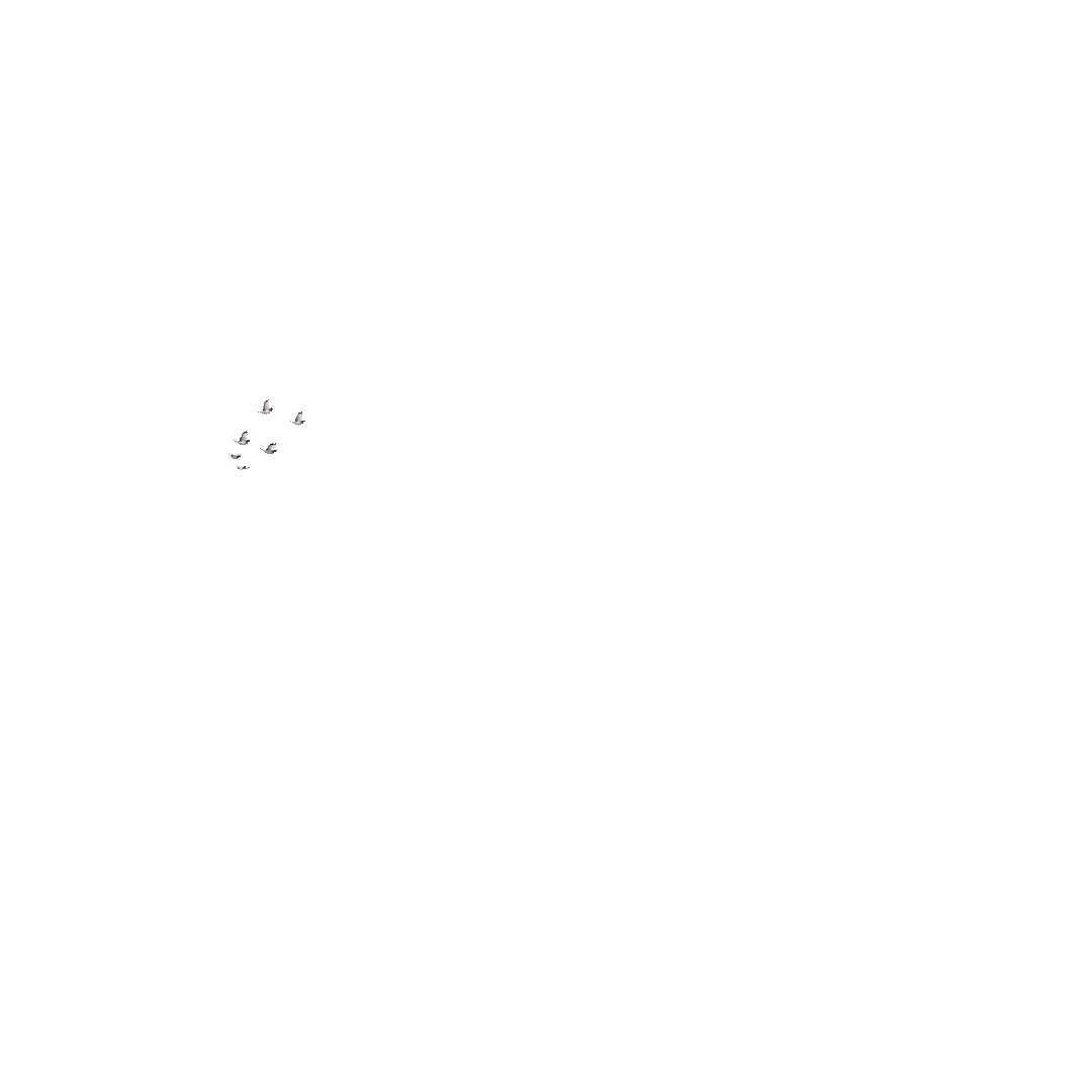Sequência 04_1.gif