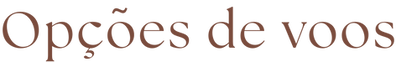 opcoes voos.png