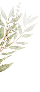 folha1_edited.png