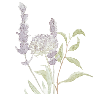 flores2.png