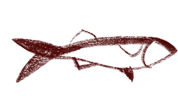 peixe.png