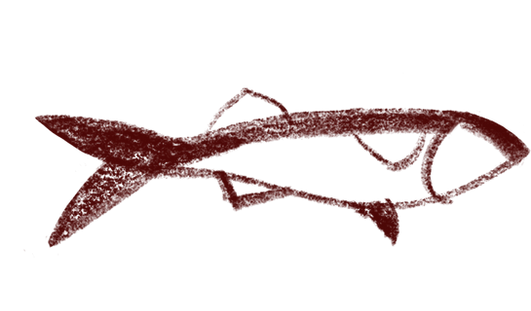 peixe.png