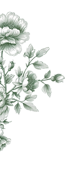 flor3.png