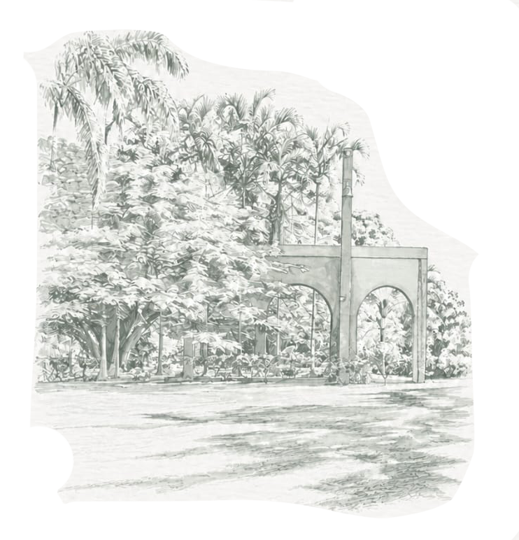 sketch.png