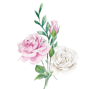 rosa.png