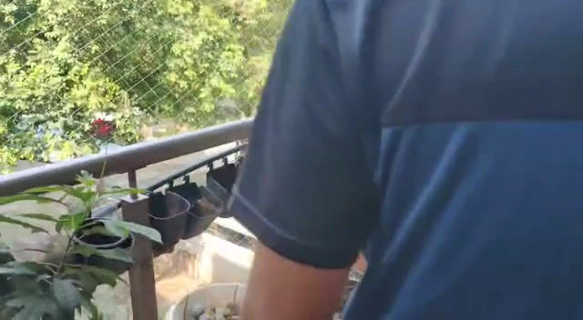 Thumbnail: AUTOGARDNER 75 SMART TIMER