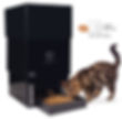 autopet C70 Cat kitten at automatic wifi remote control cat food dispenser no food wastag