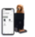autopet DOG feeder saved 30% food wastage and save cost