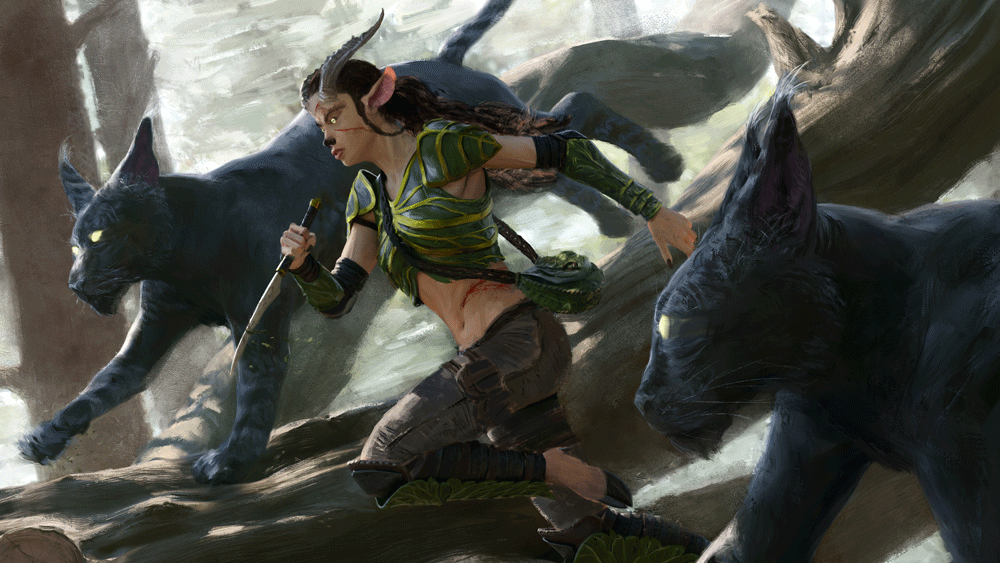 elvish-scout-v2-process.gif