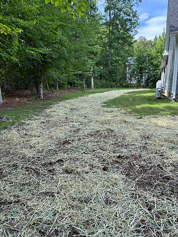 drainage after.jpg
