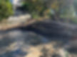 patio & walls.jpg