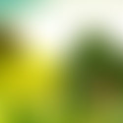 Tips to Prepare Your Home for a Spring Sale—Starting in February