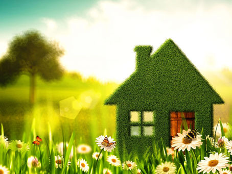 Tips to Prepare Your Home for a Spring Sale—Starting in February