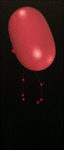 Picture61.gif