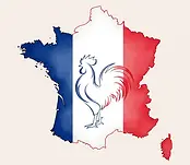 Carte de la France aux couleurs du drapeau tricolore, avec un coq gaulois stylisé en blanc