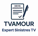 Logo Société TVAMOUR.webp