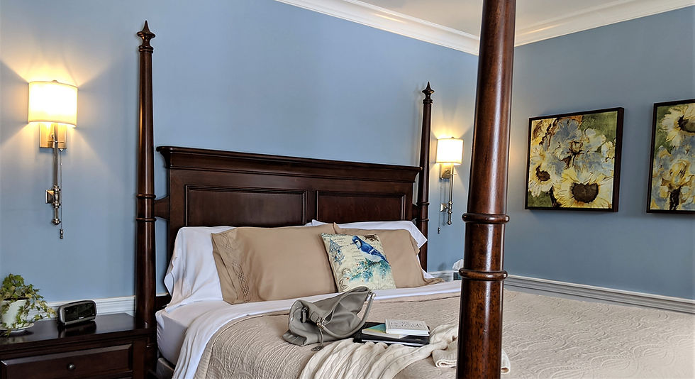 Calm & private Jay room overlooking the large back yard.
